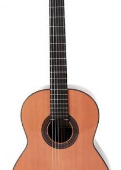 Guitare Prodipe Soloist 500