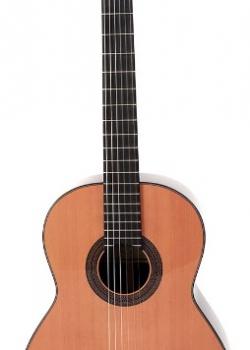 Guitare Prodipe Soloist 900